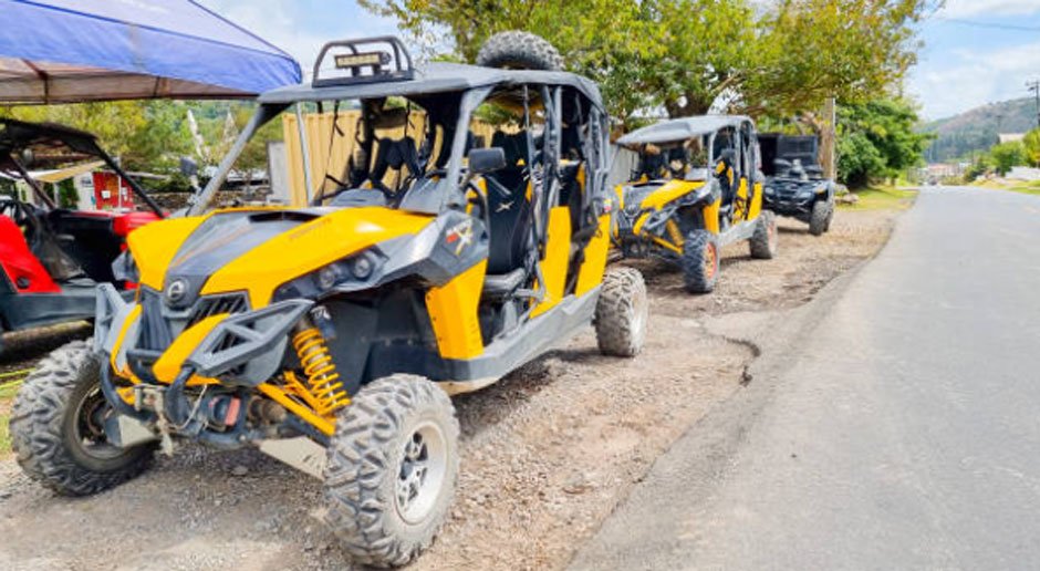 Affordable Buggy Rental Deals for Adventure Seekers