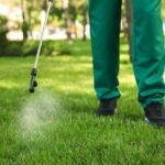 Why Every Lawn Needs Professional Pest Control Care