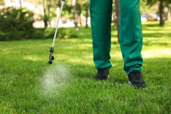 Why Every Lawn Needs Professional Pest Control Care