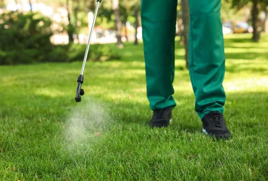Why Every Lawn Needs Professional Pest Control Care