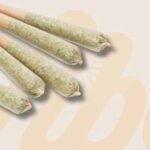 How-Hemp-Culture-Is-Embracing-Disposable-Vapes-and-Pre-Rolls