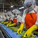 How to Improve Food Production Efficiency