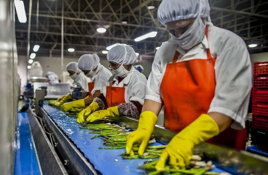 How to Improve Food Production Efficiency