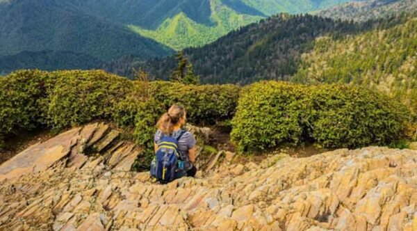 Planning-a-Smokies-Trip-When-You’re-Craving-Some-Fresh-Mountain-Air
