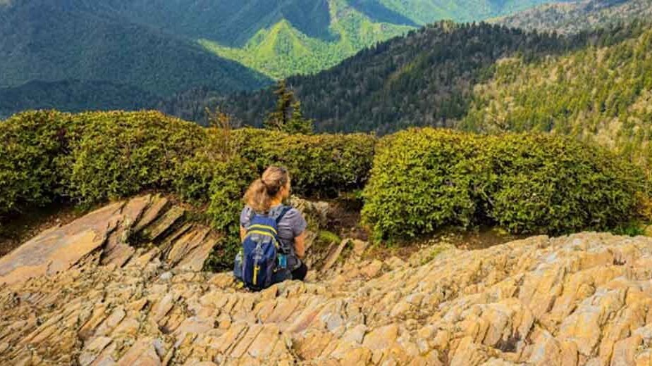 Planning-a-Smokies-Trip-When-You’re-Craving-Some-Fresh-Mountain-Air