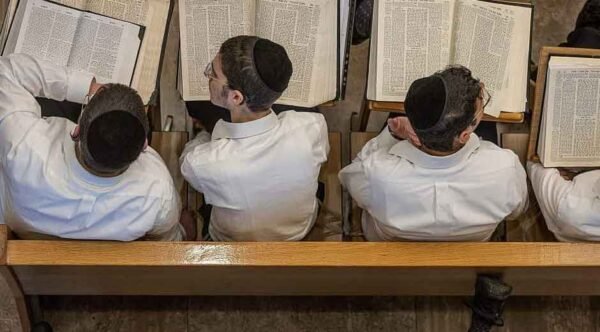 The-Role-of-Torah-Study-in-Elevating-a-Neshamah