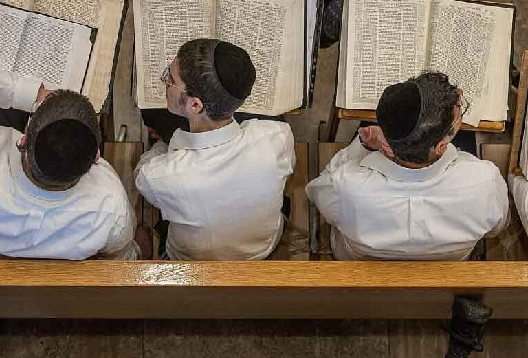 The-Role-of-Torah-Study-in-Elevating-a-Neshamah