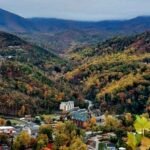 What Happens to Sales When a Business Lacks an Online Identity