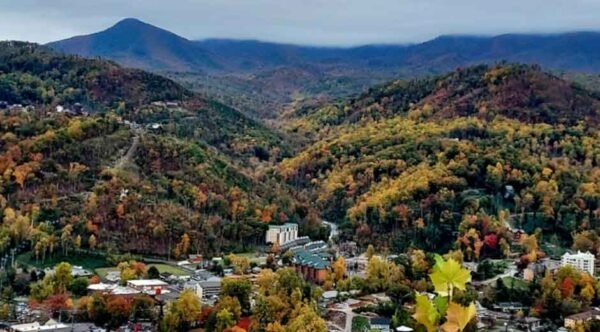 What Happens to Sales When a Business Lacks an Online Identity