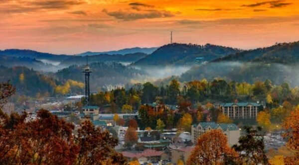 What Makes the Southern Food Scene So Appealing