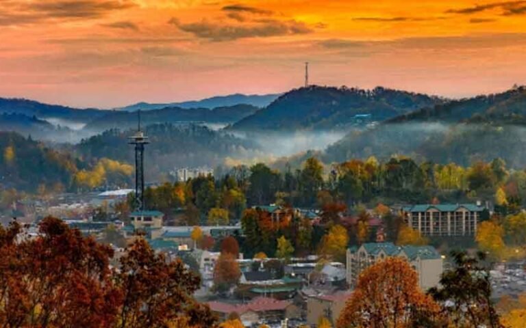 What Makes the Southern Food Scene So Appealing