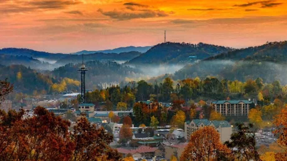 What Makes the Southern Food Scene So Appealing