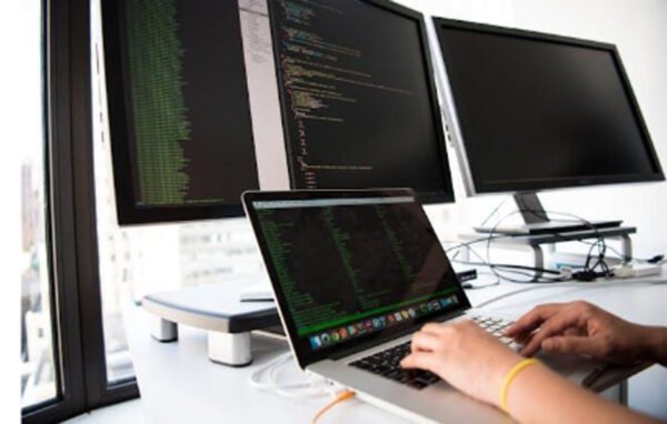 Which Career Fits You Better