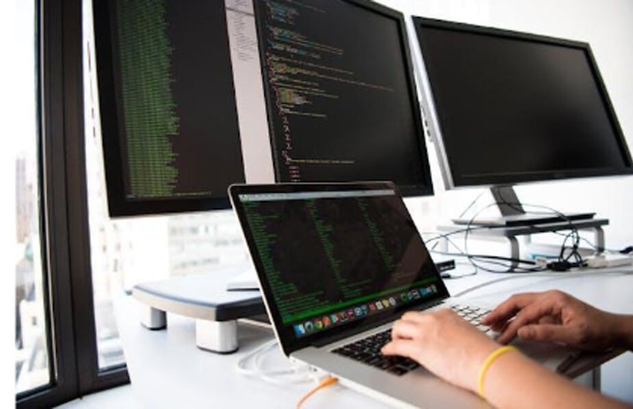 Which Career Fits You Better