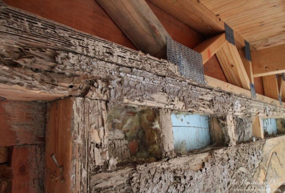 Legal Remedies for Homeowners Affected by Wood Infestation