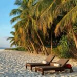 The-Rise-of-the-Experience-Seeking-Traveler-and