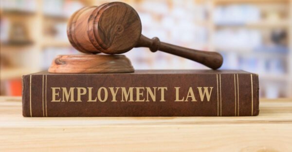 Top 5 Employment Laws That Protect You at Work