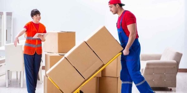 Understanding-the-Services-Offered-by-Professional-Moving-Companies