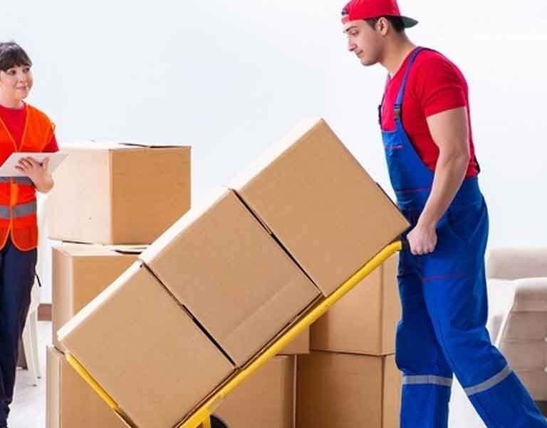 Understanding-the-Services-Offered-by-Professional-Moving-Companies