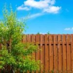 Understanding-the-Value-and-Longevity-of-a-Wood-Fence