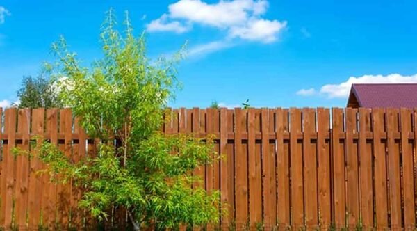 Understanding-the-Value-and-Longevity-of-a-Wood-Fence