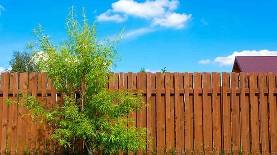 Understanding-the-Value-and-Longevity-of-a-Wood-Fence