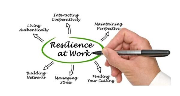 Optimizing Workplace Performance