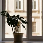 Smart-Ways-to-Brighten-Your-Home-Naturally