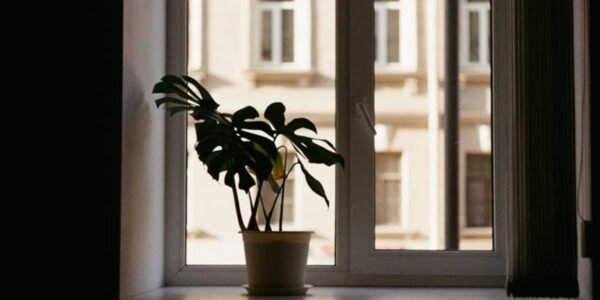 Smart-Ways-to-Brighten-Your-Home-Naturally