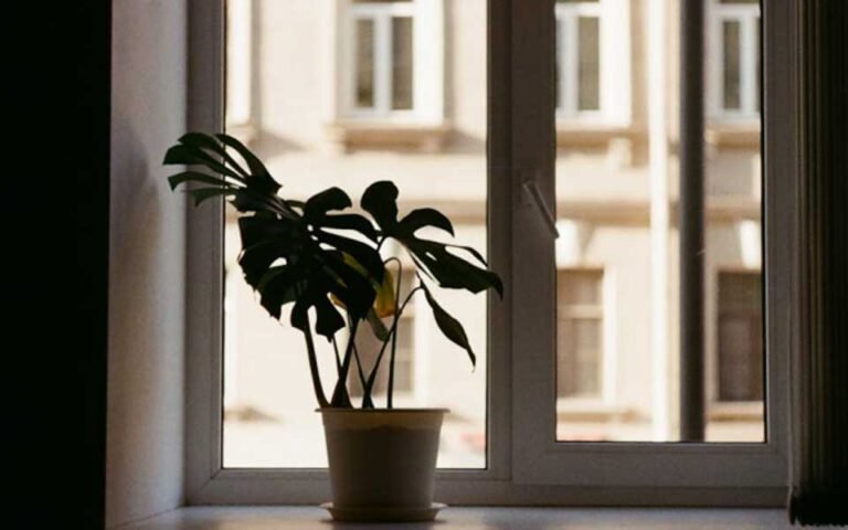 Smart-Ways-to-Brighten-Your-Home-Naturally