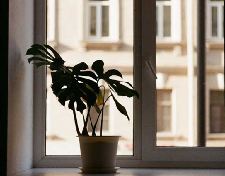 Smart-Ways-to-Brighten-Your-Home-Naturally