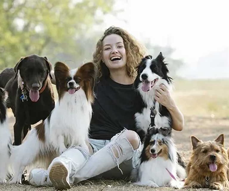 The Ultimate Guide to Public Liability Insurance for Dogs