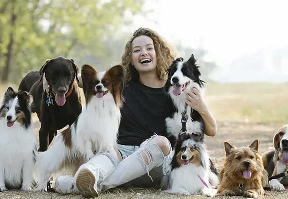 The Ultimate Guide to Public Liability Insurance for Dogs