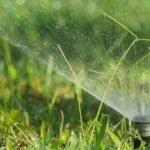What-Are-the-Best-Lawn-&-Landscape-Practices-for-a-Healthier-Yard