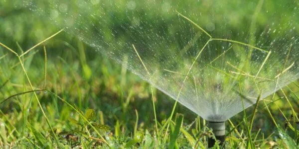 What-Are-the-Best-Lawn-&-Landscape-Practices-for-a-Healthier-Yard