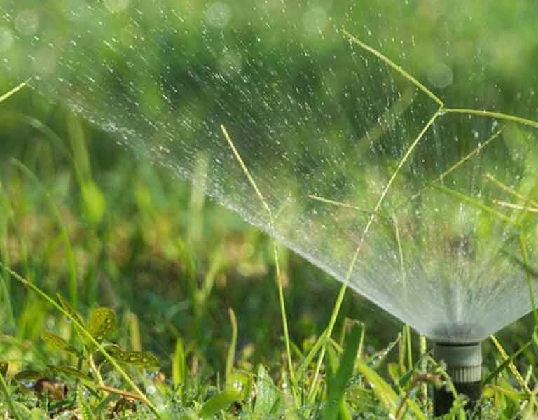 What-Are-the-Best-Lawn-&-Landscape-Practices-for-a-Healthier-Yard