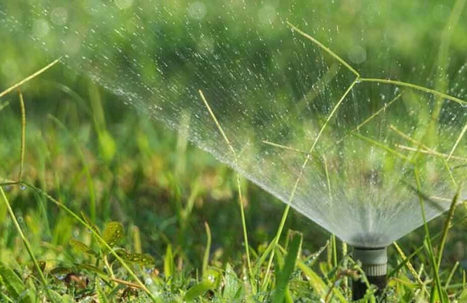 What-Are-the-Best-Lawn-&-Landscape-Practices-for-a-Healthier-Yard