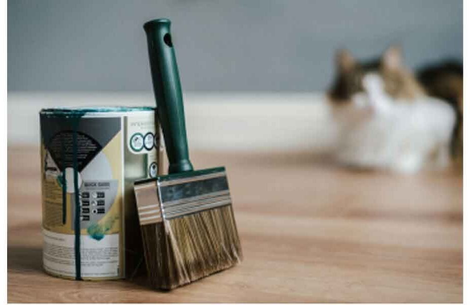 What-Every-Space-Needs-at-Least-Once-a-Year