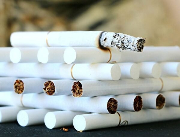 a-guide-to-understanding-tobacco-varieties-and-the-1