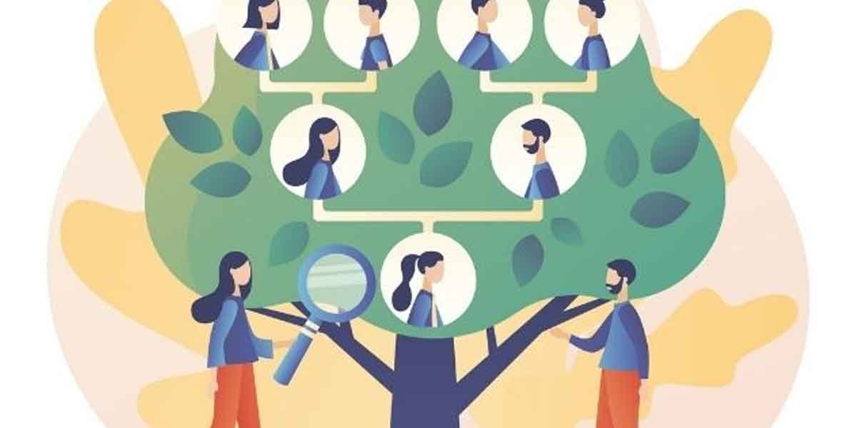 Tree Primary Source The Importance of Verifying Online Family Trees with Primary Sources ...