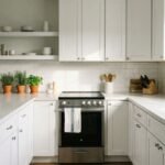 cheapest-kitchen-cabinets-best-affordable-options-1