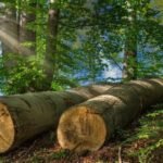 managing-environmental-risks-a-guide-to-responsibl-1