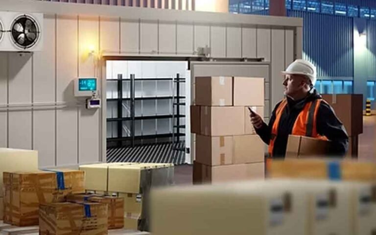 Why Temperature Control Is the Most Critical Factor in Modern Supply Chains