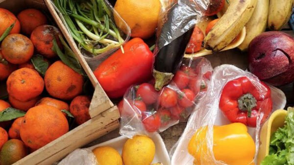 How to Stop Groceries and Fresh Food Going to Waste During Delivery